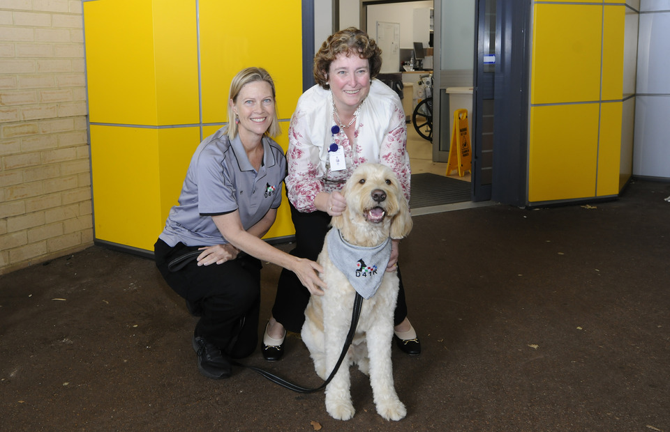 Paws for thought: Joondalup Emergency Nurse and canine companion Oscar champion mental health support for frontline workers