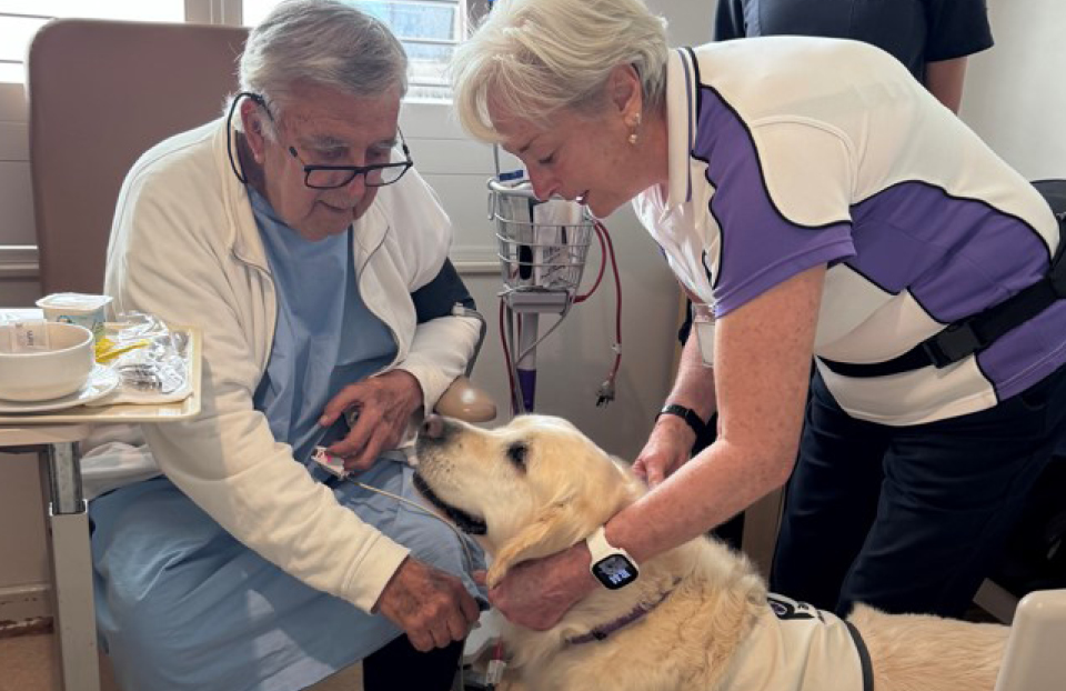 Meet Charlie, Westmead Private Hospital’s newest team member